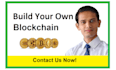 build complete blockchain like ethereum or bsc with dpos