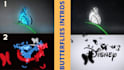 create an amazing butterflies logo intro animation