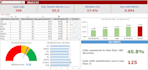 create customized excel dashboard