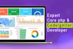 build a custom web application in core PHP or codeigniter