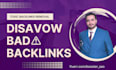 professionally audit harmful links and disavow bad backlinks