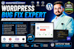 fix, customize, and optimize your wordpress website