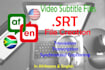 create a subtitle srt file in english or afrikaans