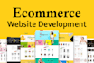 build a professional ecommerce website