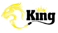 design a professional logo within 24 hours