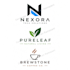 design a minimalist, modern, and professional logo