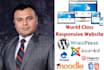 build a professional wordpress business website