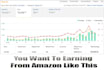 amazon niche site building service