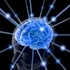 brainstorm a solution for you