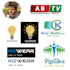 design a unique, professional logo to elevate your brand identity