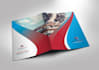 design professional presentation folder