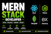 build custom mern stack web app, API and saas platform