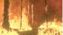 do after effects, visual effects, editing and templates