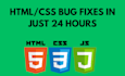 fix html, css, javascript and wordpress issues
