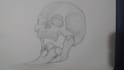 do you want a drawing made with graphite pencil