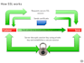fix, install or configure SSL on wordpress