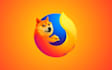 code google chrome or firefox extensions