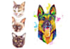 draw realistic pet portrait
