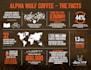 create an awesome design infographic