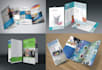 design flyer, brochures, restaurant menus