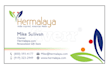 design professional logo design for your business