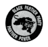 do embroidery digitizing on patches dst, pes, jef, pxf