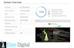 professional SEO 9 page audit