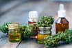 help to get top 10 rank cbd site SEO , marketing promotion