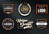 do professional logo design within 24 hours