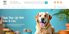 sky rocket your income with amazon affiliate website