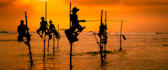 plan your tour in sri lanka