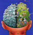 transform your thoughts with positive energy