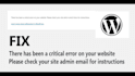fix wordpress issues, errors and bugs