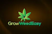 design professional logo until buyers satisfaction