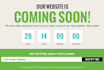 design and develop professional landing page