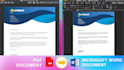 convert PDF to microsoft word