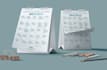design a professional yearly calendar or planner