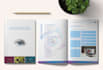 design microsoft publisher flyer, brochure or any template