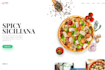 build professional wordpress website design or blog