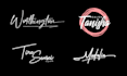 create professional signature logo