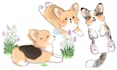 draw you cute dog stickers