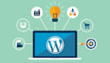 develop custom business wordpress website