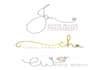 design an attractive personal signature logo