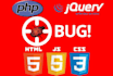 professionally code your wordpress, laravel,php,javascript,html,css
