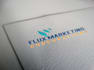 create a professional logo design