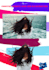 remove backgrounds from pictures 100 per day