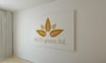 design logo for your website, company or brand