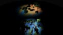 do storytelling 3d animation like fern and zackdfilms