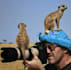 tailor itineraries and offer cheap tours to the east africa