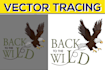 vector tracing, redraw logo, vectorize ai image in 5 hours